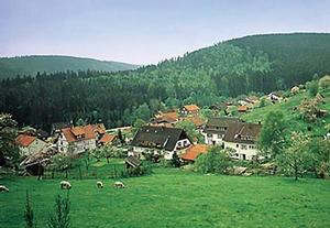 Idylle - Dorf im Schwarzwald
