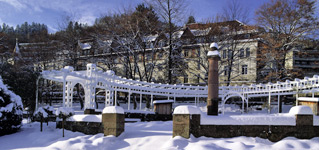 The Kurpark gardens in winter